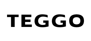 teggo logo