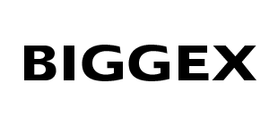biggex logo